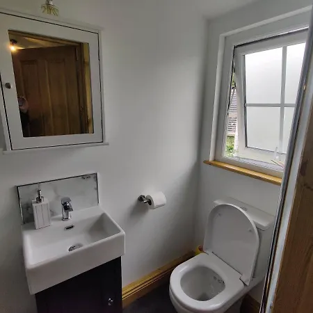 Bumble Bee Bootle (Cumbria)