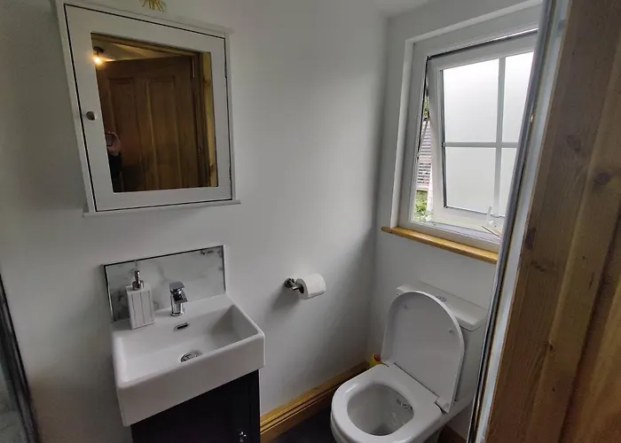 Bumble Bee Bootle (Cumbria)