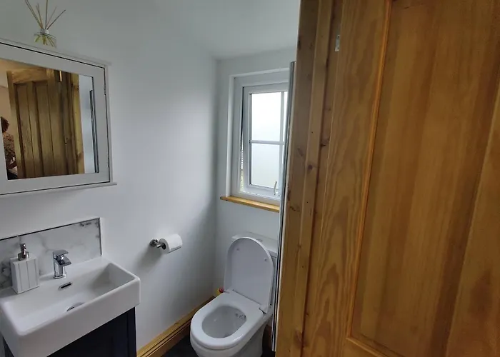 Bumble Bee Bootle (Cumbria)