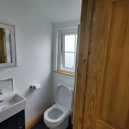 Bumble Bee Bootle (Cumbria)